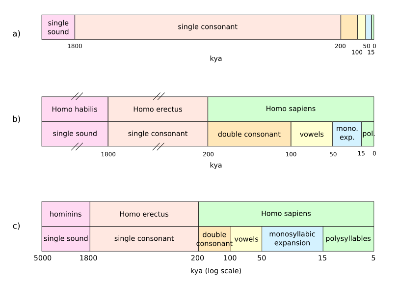 Figure 1: Language time scales. Prepared by the author.