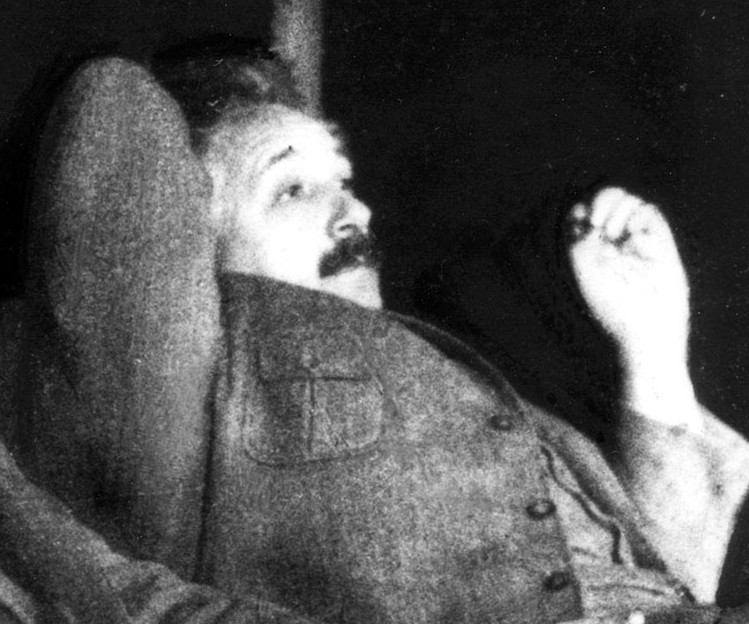 Albert Einstein just chillin’.
