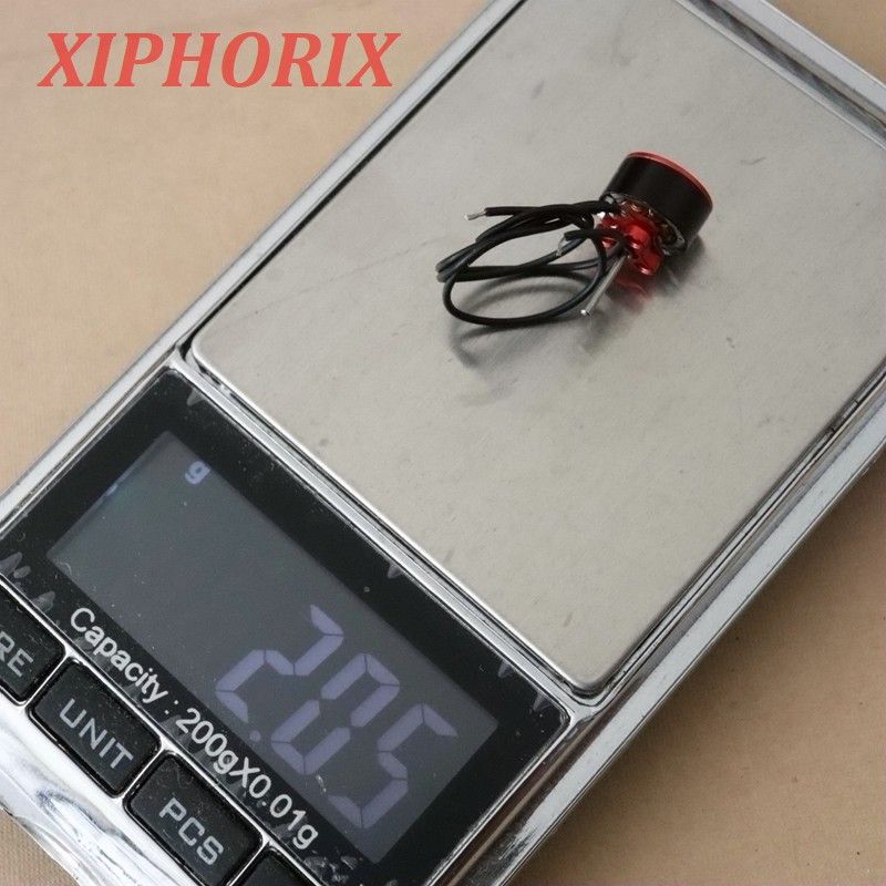 Brushless motor weighing in at two grams. Source: Xiphorix.